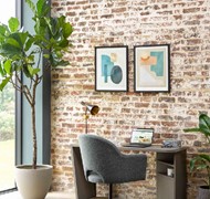 Sofa.com Design Trends 222