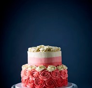 Click to view gallery PV Signature Collection3