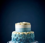 Click to view gallery PV Signature Collection4