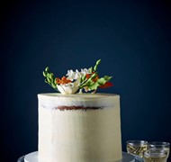 Click to view gallery PV Signature Collection7