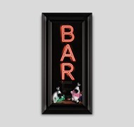 Click to view gallery CFA Peep Show3