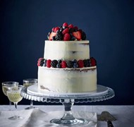 Click to view gallery PV Summer Cakes2