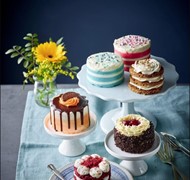 Click to view gallery PV Summer Cakes5