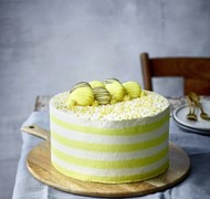 Click to view gallery PV Summer Cakes7