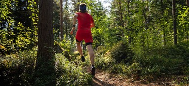 Click to view gallery up&running open1