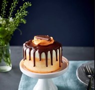 Click to view gallery pv cake2