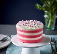 Click to view gallery pv cake5