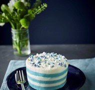 Click to view gallery pv cake6