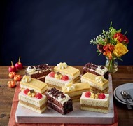 Click to view gallery PV Autumn 224