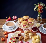 Click to view gallery PV Autumn 225