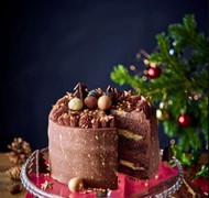 Click to view gallery PV Xmas6