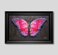 Click to view gallery CFA Empty 4