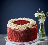 Click to view gallery PV Valentines3