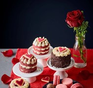 Click to view gallery PV Valentines4