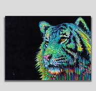 Click to view gallery CFA Triumph3