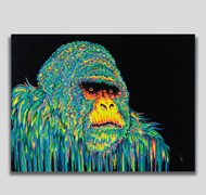 Click to view gallery CFA Triumph4