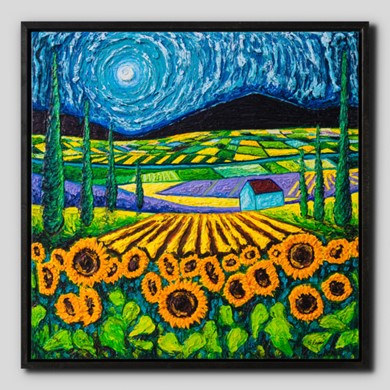 Click to view gallery CFA Raven1