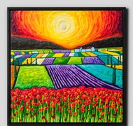 Click to view gallery CFA Raven2