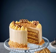 Click to view gallery PV New233