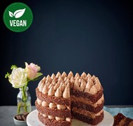 Click to view gallery PV New234