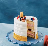 Click to view gallery PV New235