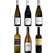 Click to view gallery Gauntleys Sauvignon3