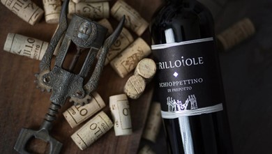 Click to view gallery Gauntleys Prep1