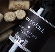 Click to view gallery Gauntleys Prep3