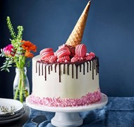 Click to view gallery PV Pink2