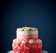 Click to view gallery PV Pink4