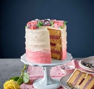 Click to view gallery PV Pink6