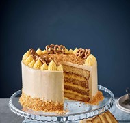 Click to view gallery PVautumn4