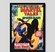 Click to view gallery CFA Marvel Comm4