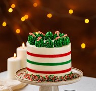 Click to view gallery PV Xmas233