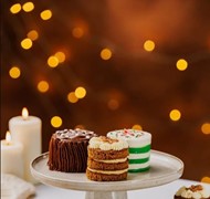 Click to view gallery CFA Dylan234