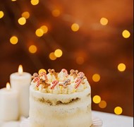 Click to view gallery PV Xmas235