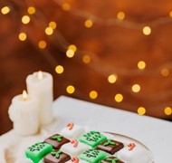 Click to view gallery CFA Dylan236