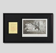 Click to view gallery CFA Bailey6