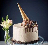 Click to view gallery PV New244