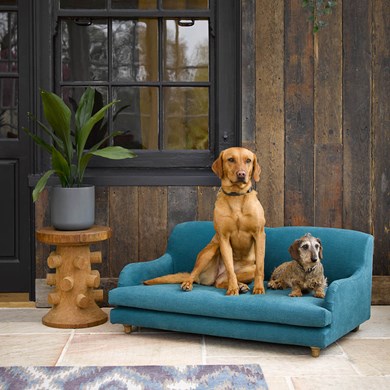 Click to view gallery Sofa Pet1