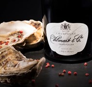 Click to view gallery Gauntelys Vilmart2