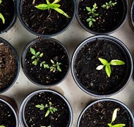 Click to view gallery U&R Diet3