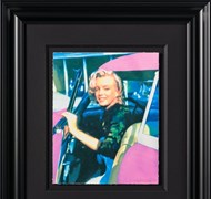 Click to view gallery CFA Marilyn2