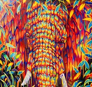 Click to view gallery CFA Oxley3