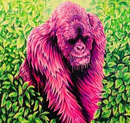 Click to view gallery CFA Oxley5