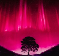 Click to view gallery CFA Rowan2