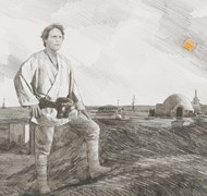 Click to view gallery CFA Star2