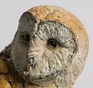 Click to view gallery CFA Spring2