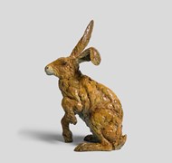 Click to view gallery CFA Spring4