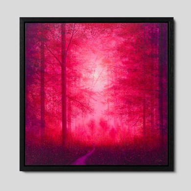 Click to view gallery CFA 251